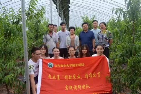 香港資料內部資料精準,實(shí)踐調查說(shuō)明_TYN50.750藝術(shù)版