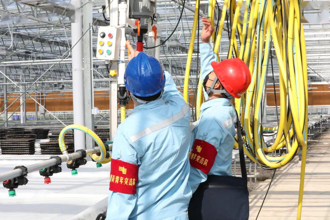 草海機場(chǎng)最新動(dòng)態(tài)揭秘，建設進(jìn)展、航班信息及未來(lái)展望