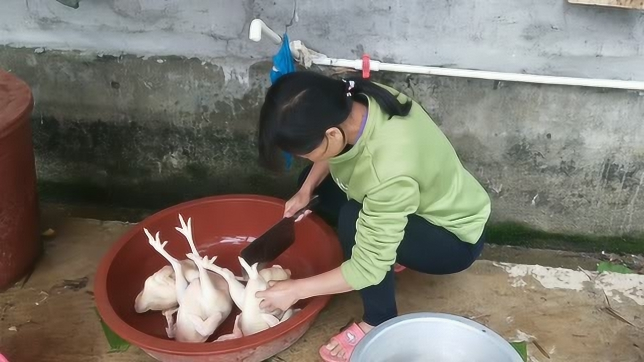 關(guān)于阿梅殺雞視頻的理性分析與網(wǎng)絡(luò )倫理道德探討，警惕涉黃內容侵蝕社會(huì )倫理底線(xiàn)。