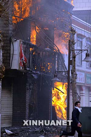 西藏最新事件，雪域高原的溫馨日常觀(guān)察