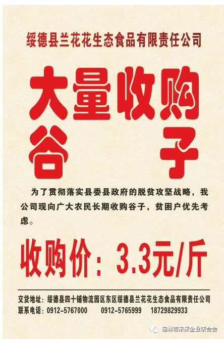 淄川最新財務(wù)招聘，職業(yè)發(fā)展的理想選擇