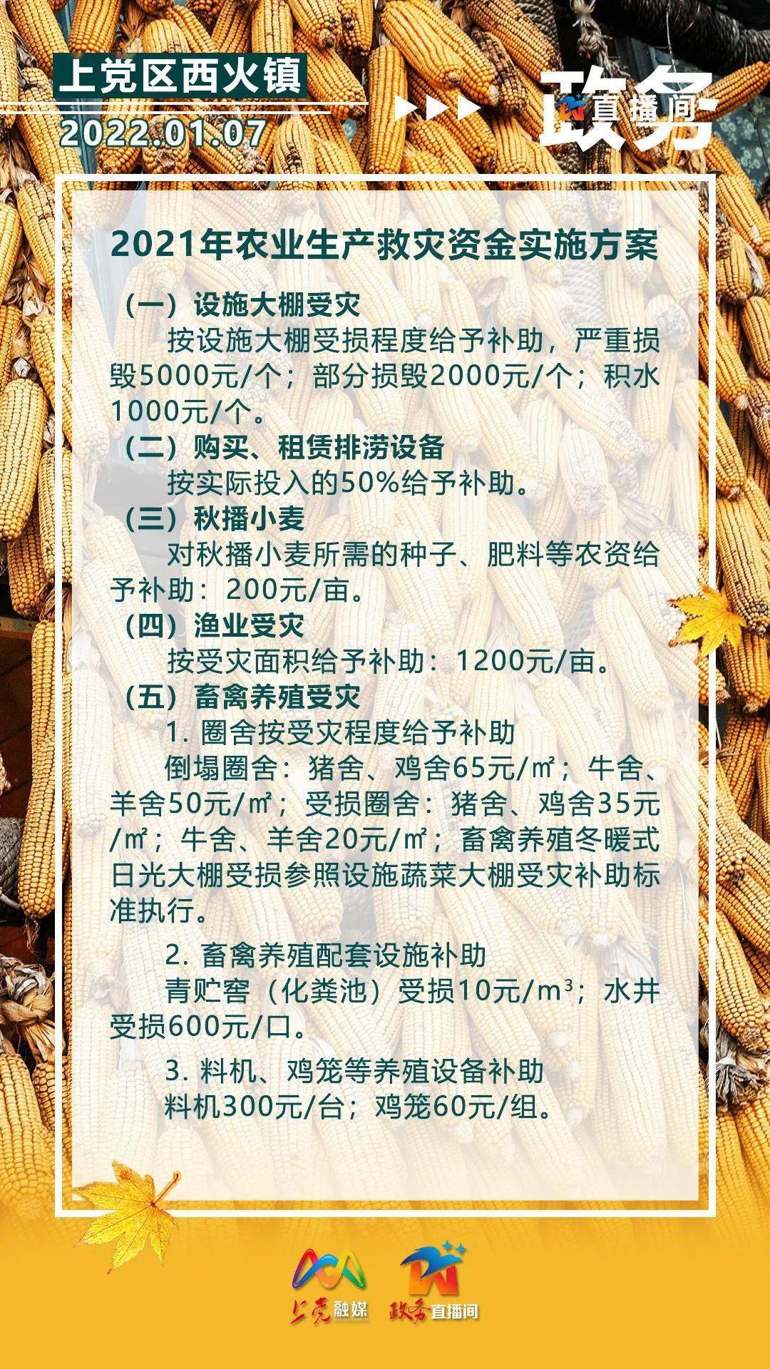 2024澳門(mén)天天開(kāi)好彩大全.,高度協(xié)調實(shí)施_IQA27.565供給版