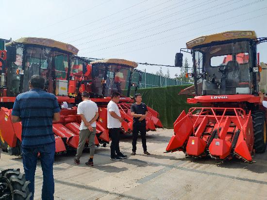 邳州玉米最新價(jià)格，時(shí)代見(jiàn)證下的市場(chǎng)動(dòng)態(tài)