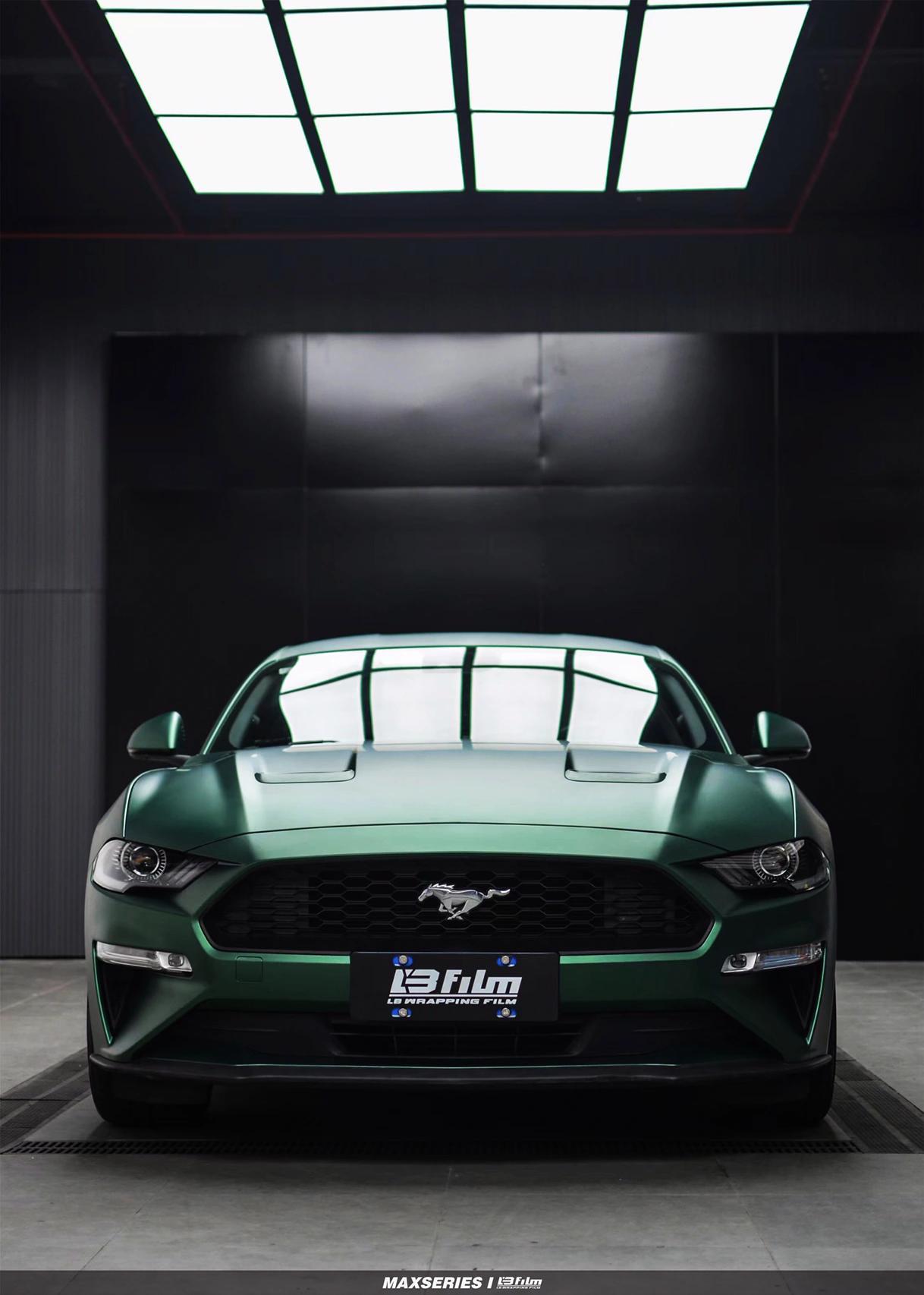 最新野馬汽車(chē)，技術(shù)革新與市場(chǎng)競爭的展現