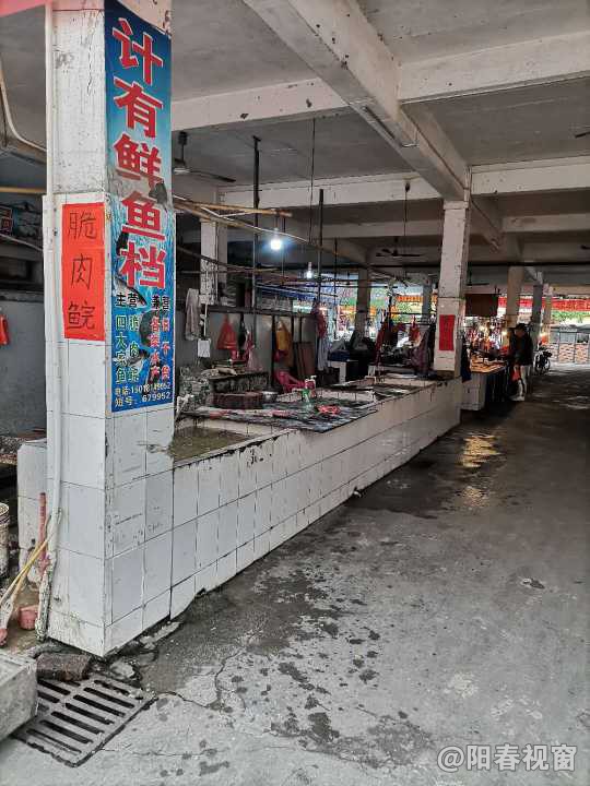 最新魚(yú)檔轉讓?zhuān)盐丈虣C，輕松開(kāi)啟水產(chǎn)養殖事業(yè)之路