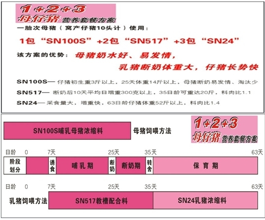 新澳天天免費精準資料大全,穩固計劃實(shí)施_BRY85.916為你版