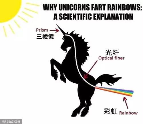 六+彩資料免費大全,科學(xué)分析解釋說(shuō)明_AFK47.540動(dòng)感版