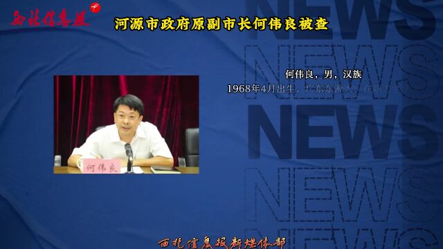 何偉良最新任免揭曉，日常故事中的溫馨轉折