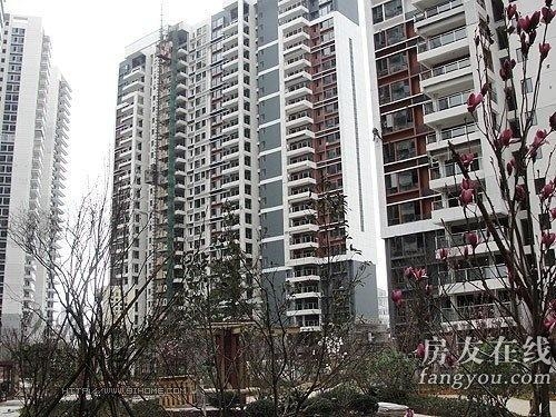 綠地長(cháng)島公寓最新價(jià)格揭秘，小巷深處的隱藏寶藏