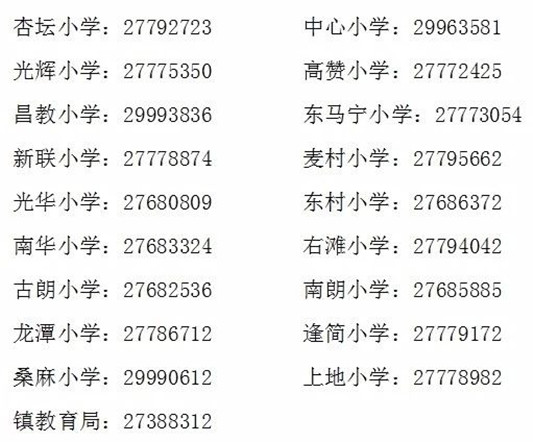 杏壇最新招聘信息大全，獲取、應聘全攻略，初學(xué)者與進(jìn)階用戶(hù)通用指南