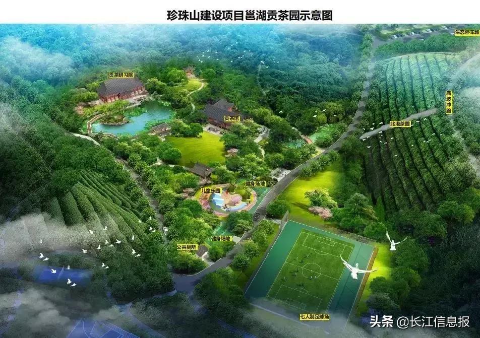 岳陽(yáng)北港小學(xué)最新動(dòng)態(tài)揭秘，校園新聞與活動(dòng)更新