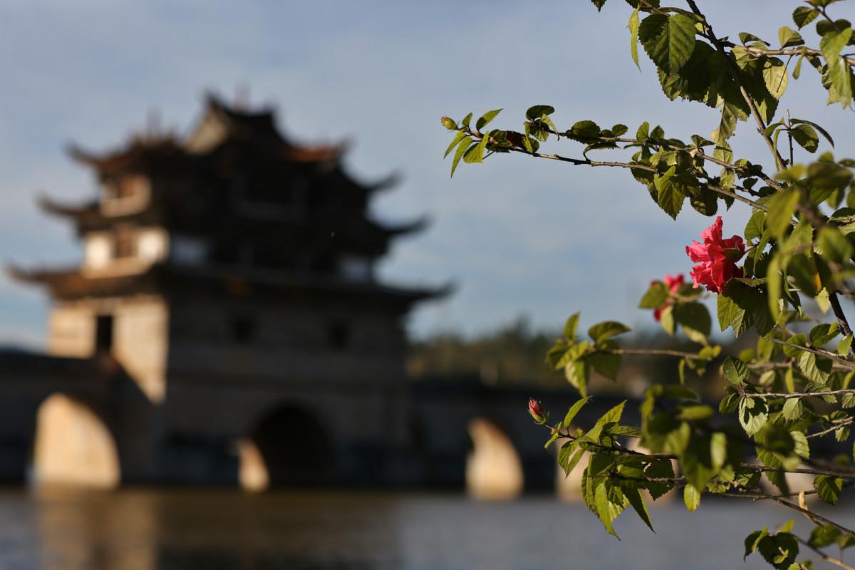 大冰最新力作，智能生活新紀元——科技與生活的完美融合