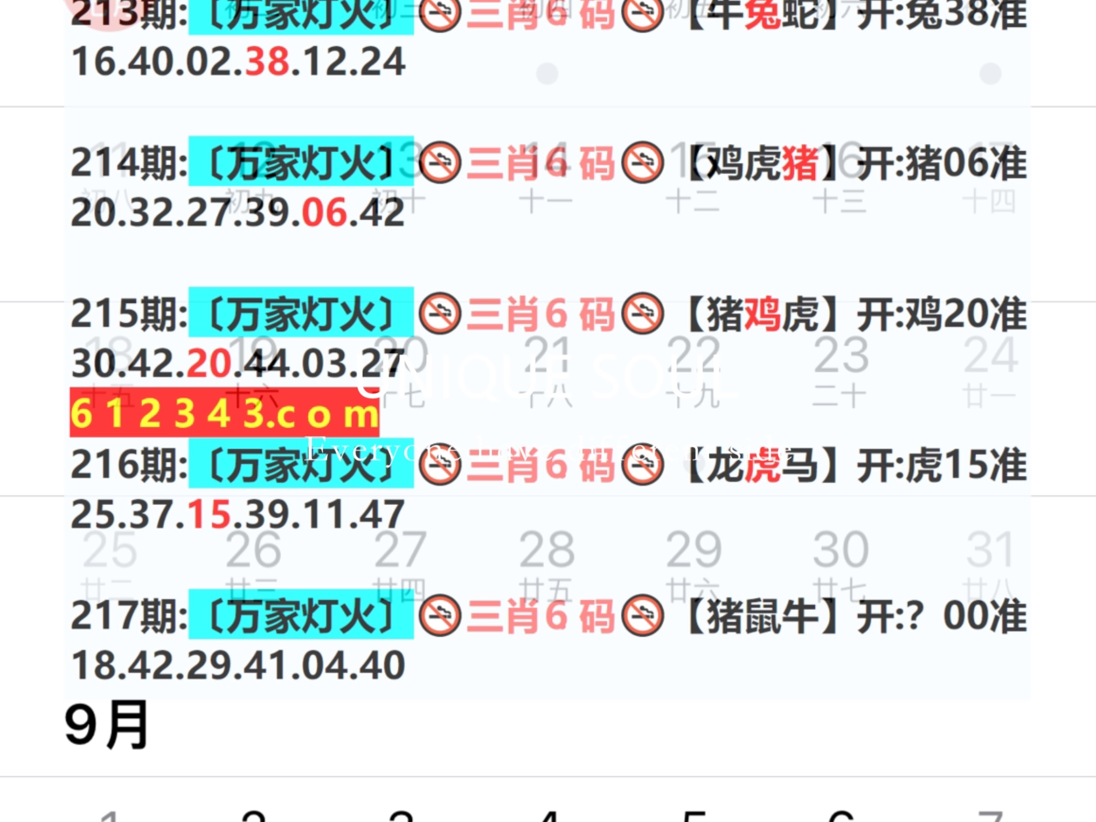 2024年新奧門(mén)天天開(kāi)彩,數據獲取方案_JPF58.265科技版