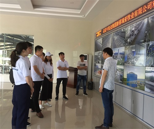 新澳天天管家婆免費資料,實(shí)踐調查說(shuō)明_LJC9.464動(dòng)態(tài)版