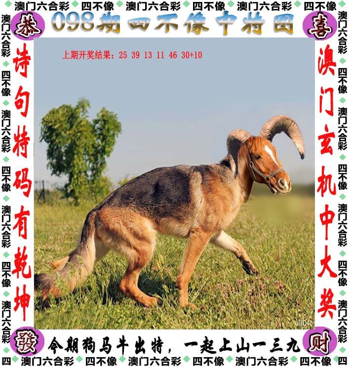 澳門(mén)今晚開(kāi)特325四不像圖,高度協(xié)調實(shí)施_備用版6.378