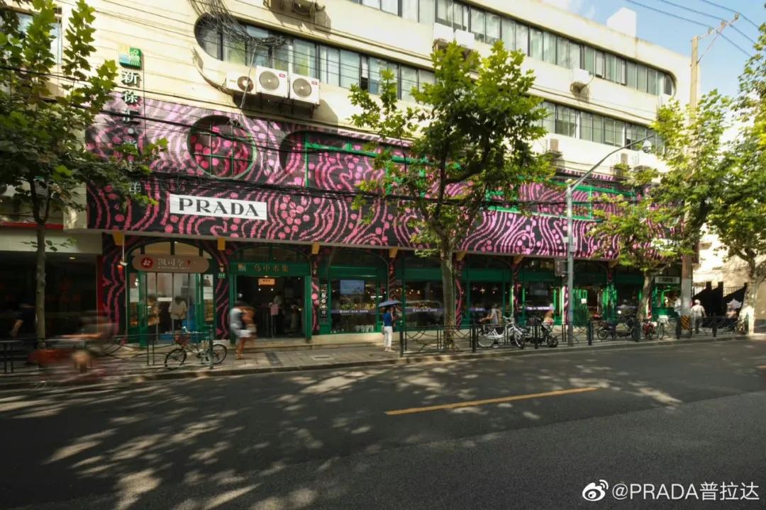 東南坊扦遷最新動(dòng)態(tài)，變化中的學(xué)習之旅，成就感的源泉