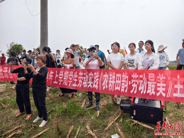 桃源木塘垸鄉新動(dòng)態(tài)，趣事連連，真摯友情綻放鄉間