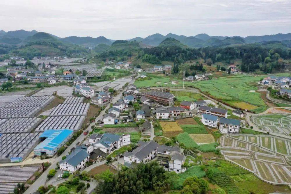 遵義市喇叭鎮最新動(dòng)態(tài)更新，最新消息匯總