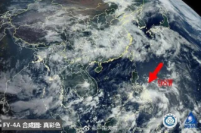 臺風(fēng)鸚鵡的最新動(dòng)態(tài)，逆風(fēng)翱翔的力量與學(xué)習魅力