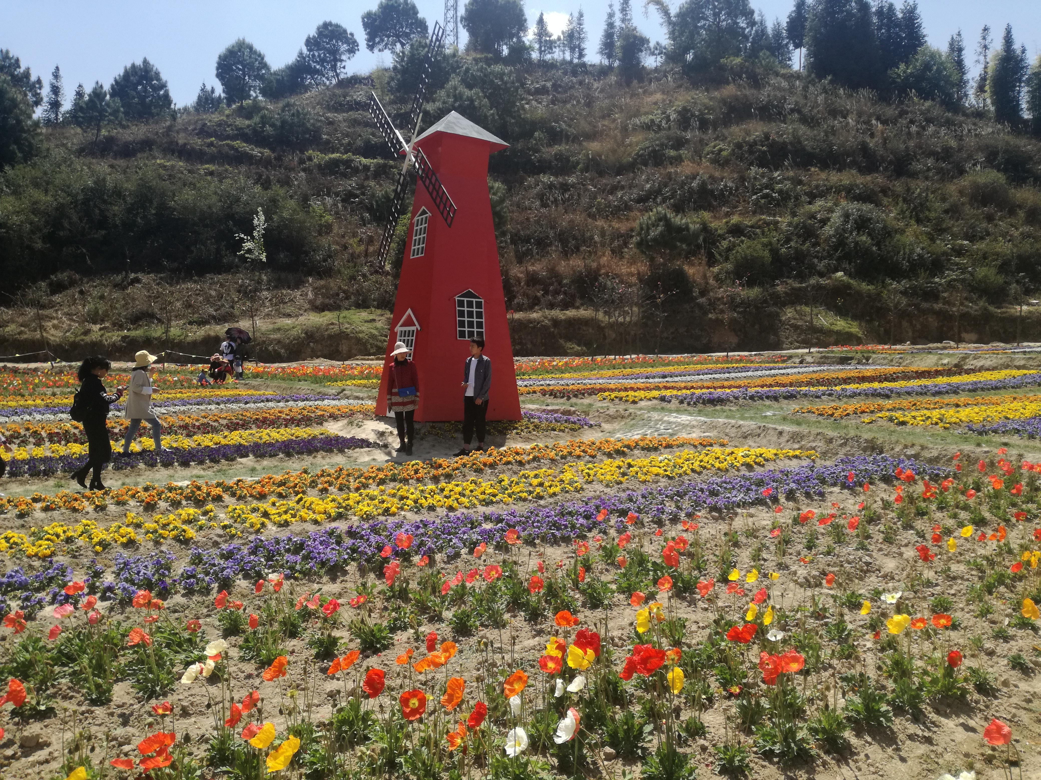 臨滄市最新探索，自然美景之旅，尋找內心平和的旅程