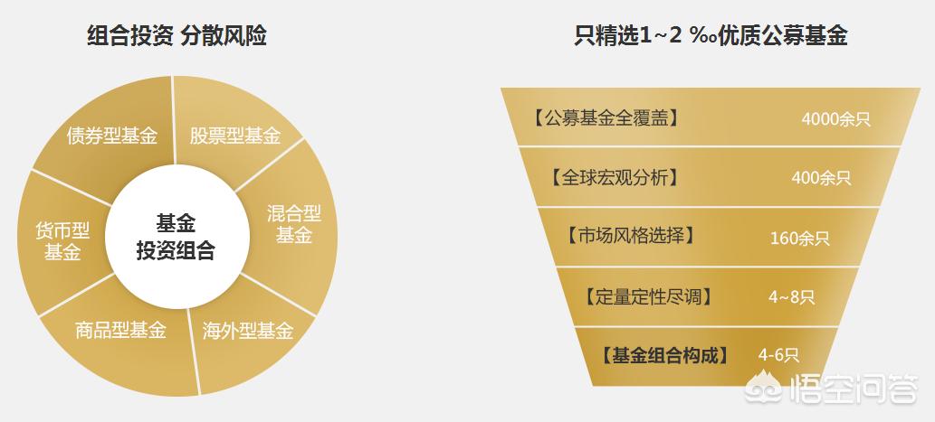 深度解析，今年養雞產(chǎn)業(yè)趨勢與前景展望