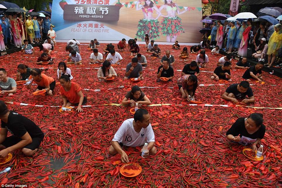 吃辣椒比賽完全攻略，從入門(mén)到進(jìn)階的指南