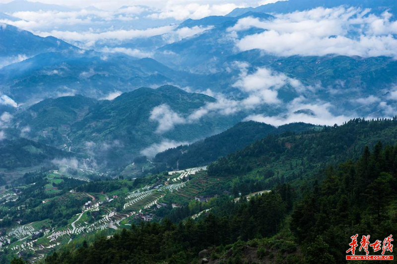雪峰山資訊，一段溫馨有趣的探索之旅