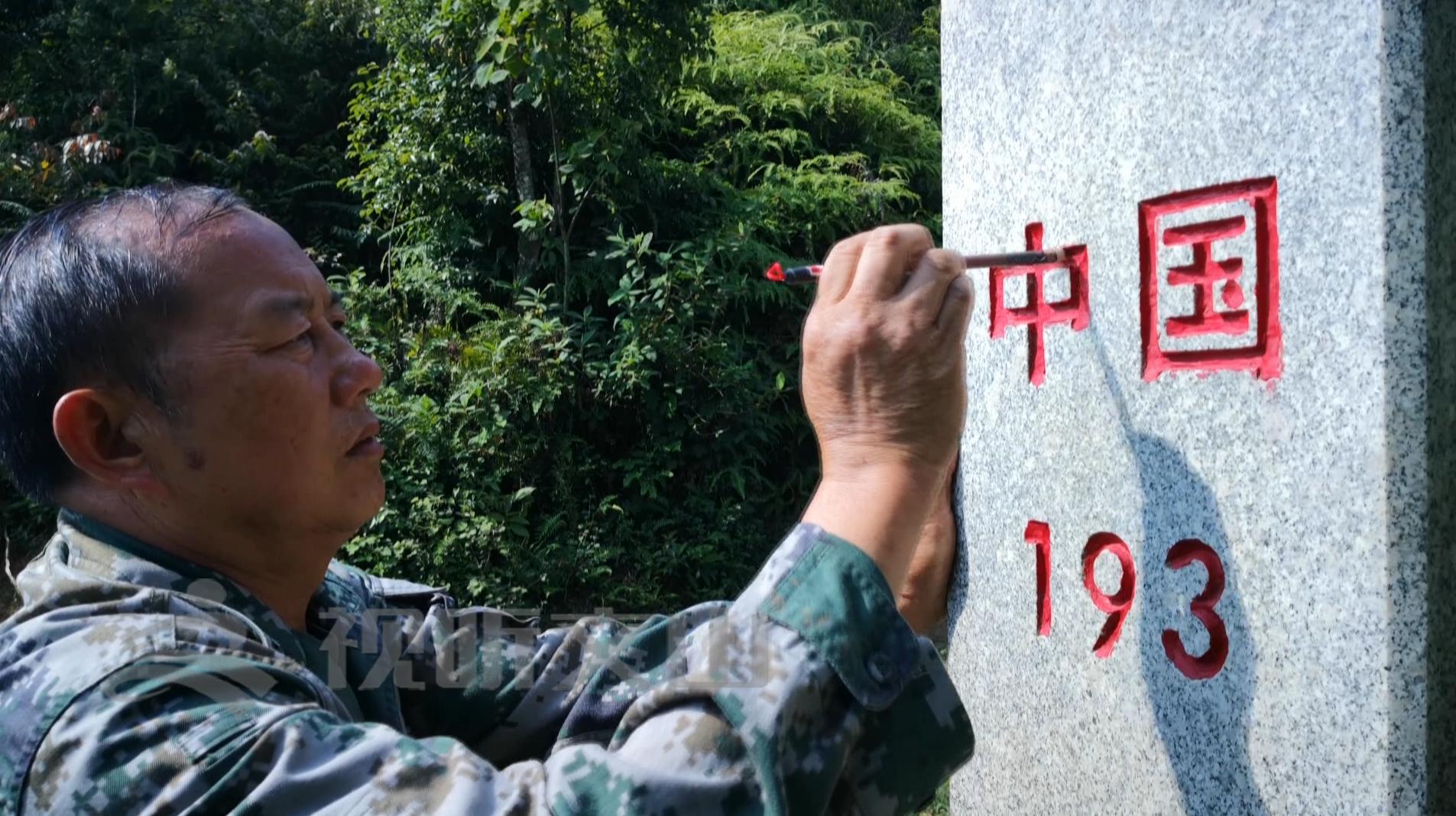 文山黃牛打架比賽，傳統與爭議的碰撞