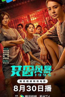 淘君爹最新影片，小巷深處的電影寶藏探索