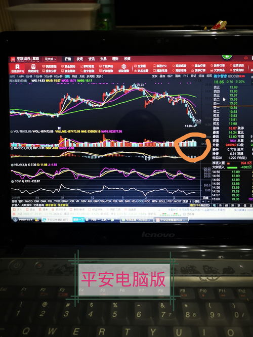 股票電腦版，開(kāi)啟溫馨的股市之旅