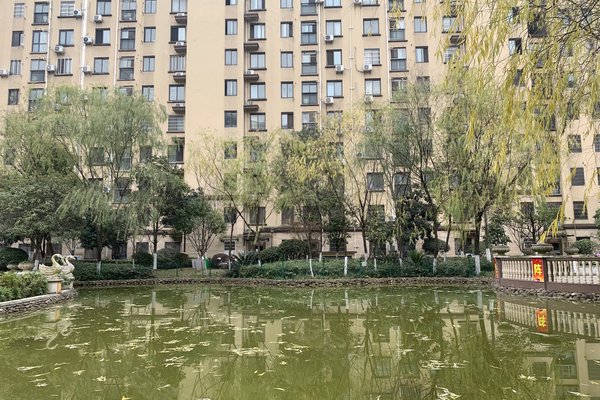 中豪明珠城最新價(jià)格，時(shí)代印記與城市的脈動(dòng)