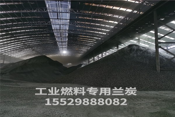 蘭炭?jì)r(jià)格揭秘，背后的故事與影響因素分析