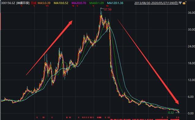 銀鴿投資股票的日常趣事與探索