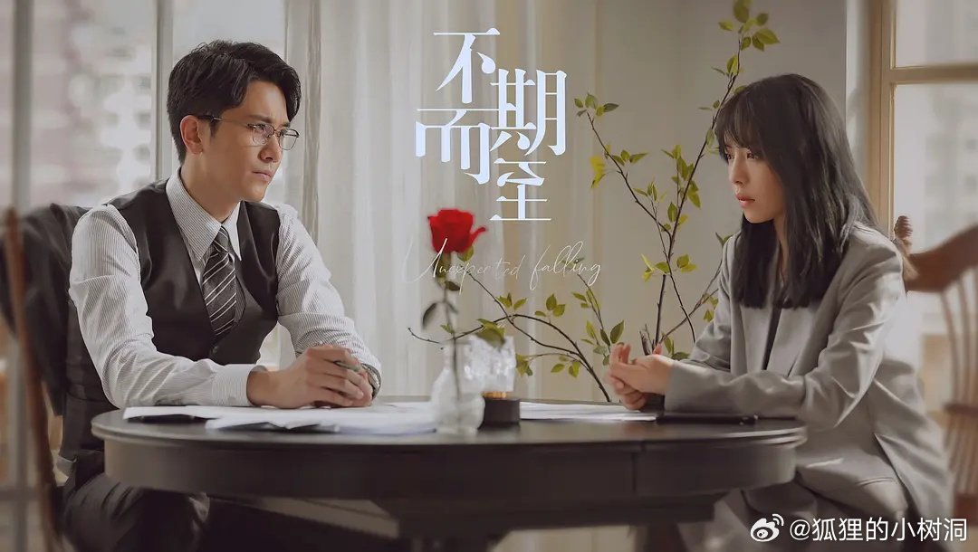 不期而至電視劇，從入門(mén)到進(jìn)階的觀(guān)看指南