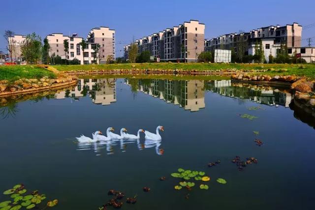 萍鄉安源湖，最新動(dòng)態(tài)揭示湖畔變革與自我超越之旅