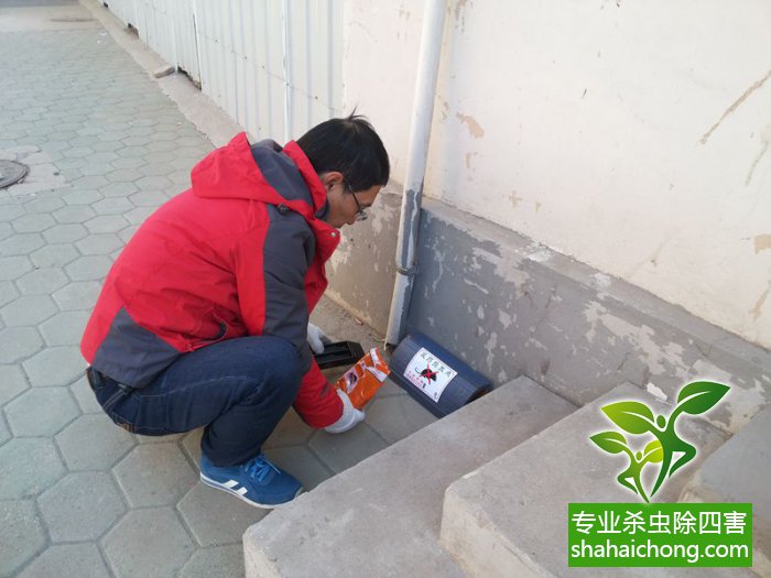 最新滅鼠技術(shù)的觀(guān)點(diǎn)論述與立場(chǎng)闡述，創(chuàng  )新方法的探索與挑戰