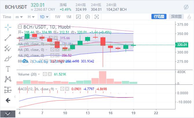 BCH今日價(jià)格變動(dòng)下的勵志之旅，自信與成就感的探尋之路