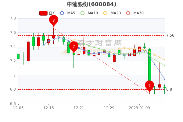 中葡股份股票行情深度分析與展望，未來(lái)走勢展望及行業(yè)前景預測。