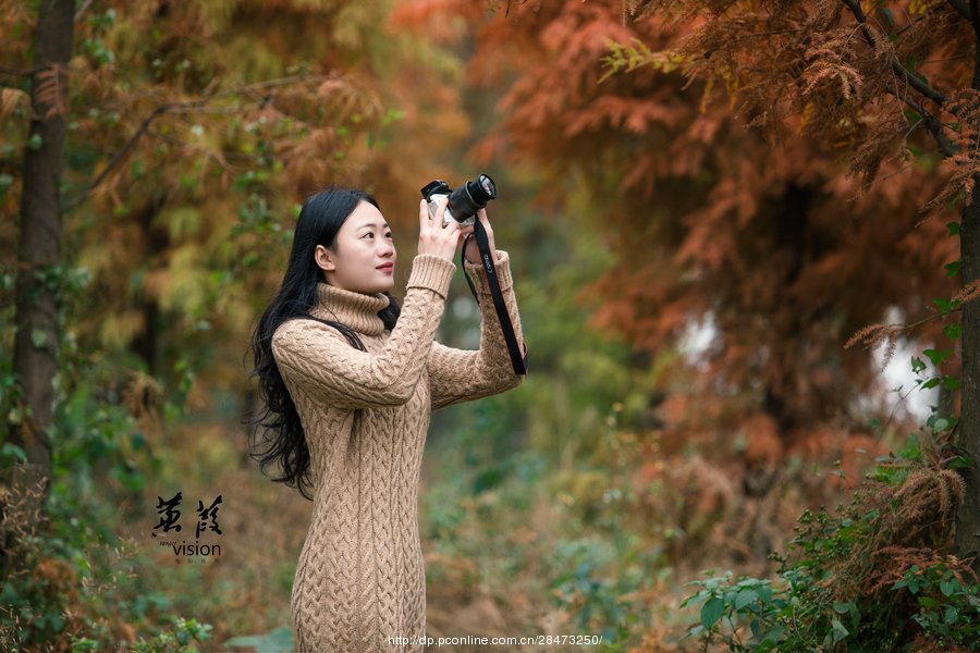 伊人在線(xiàn)電影，探索現代網(wǎng)絡(luò )影視的新境界