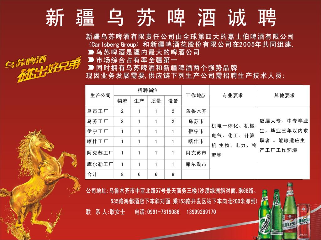 烏蘇政府最新招聘公告，應聘指南全解析