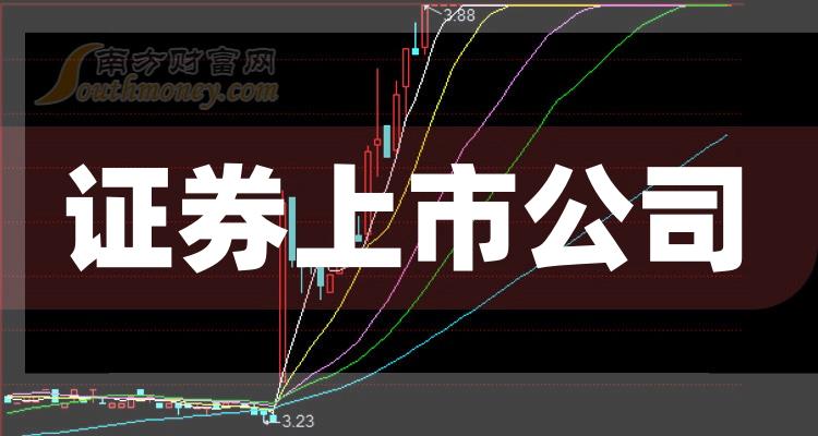 科技巨頭引領(lǐng)下的全新視界，股票上市公司概覽