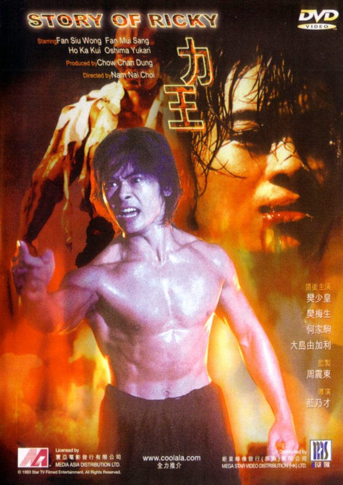 力王電影免費版視頻完整版，重塑觀(guān)影體驗的科技巨獻