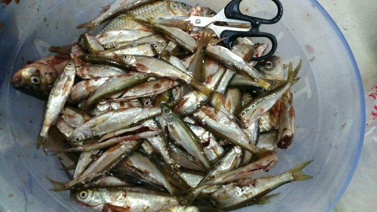 昆明最新野釣地點(diǎn)探索，重拾生活激情與自信的自然之旅