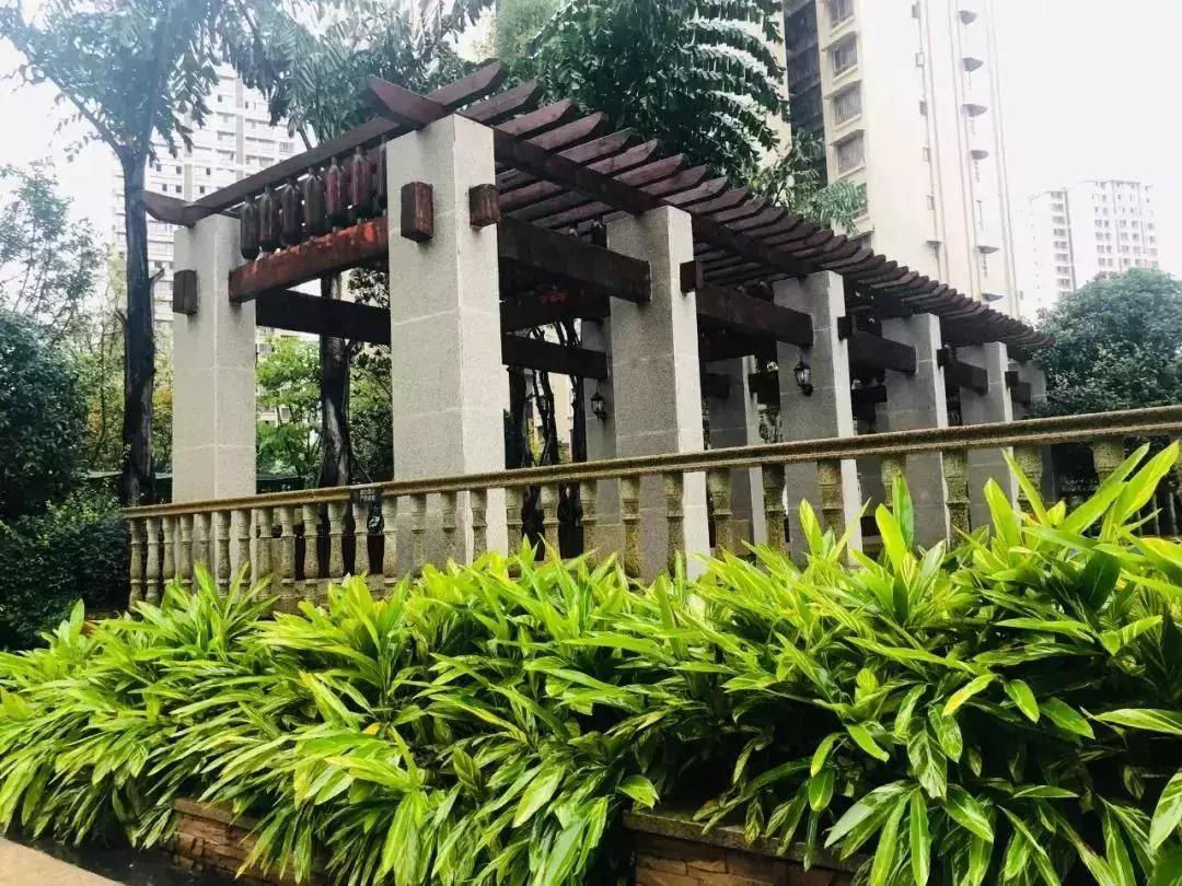 陽(yáng)光江山金岸最新動(dòng)態(tài)揭秘，全面指南與步驟詳解