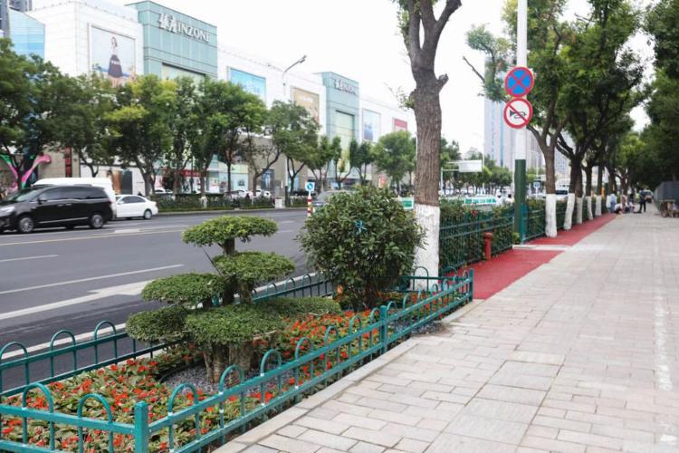 濰坊市奎文區改造工程，自然美景的探索之旅