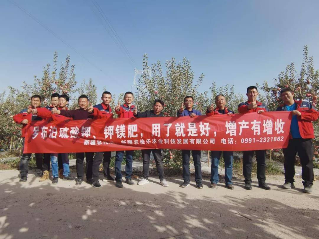 新疆國投羅鉀最新動(dòng)態(tài)，全面指南與最新發(fā)展概述