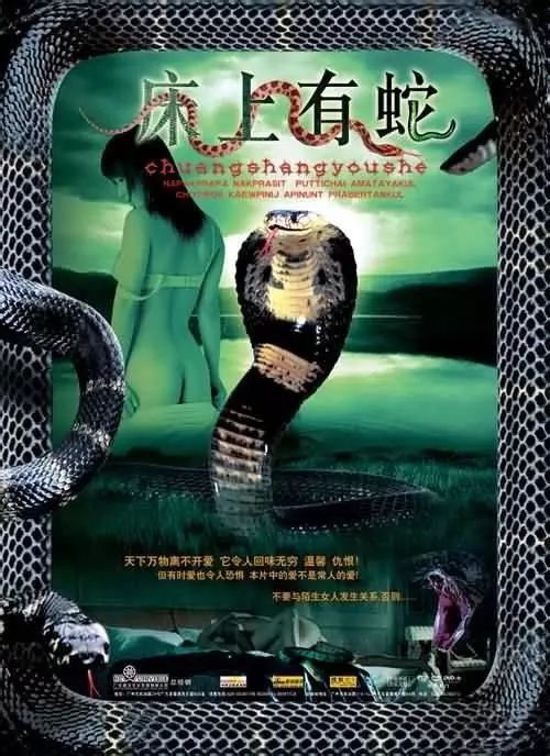 最新蛇片，蛻變的旅程，召喚自信與成就感的冒險之旅