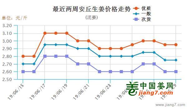 安丘大姜最新行情，機遇與自我超越的探尋之旅
