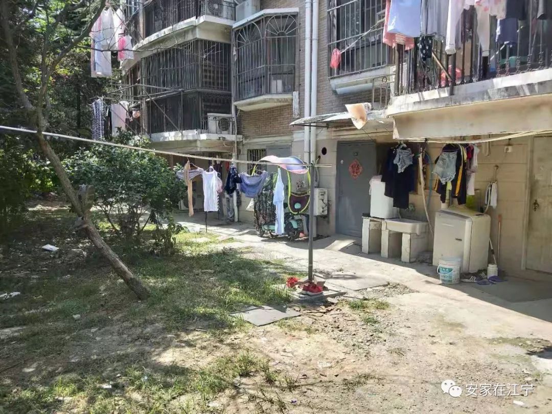 最新大雜亂時(shí)代，混沌與秩序的重建之路