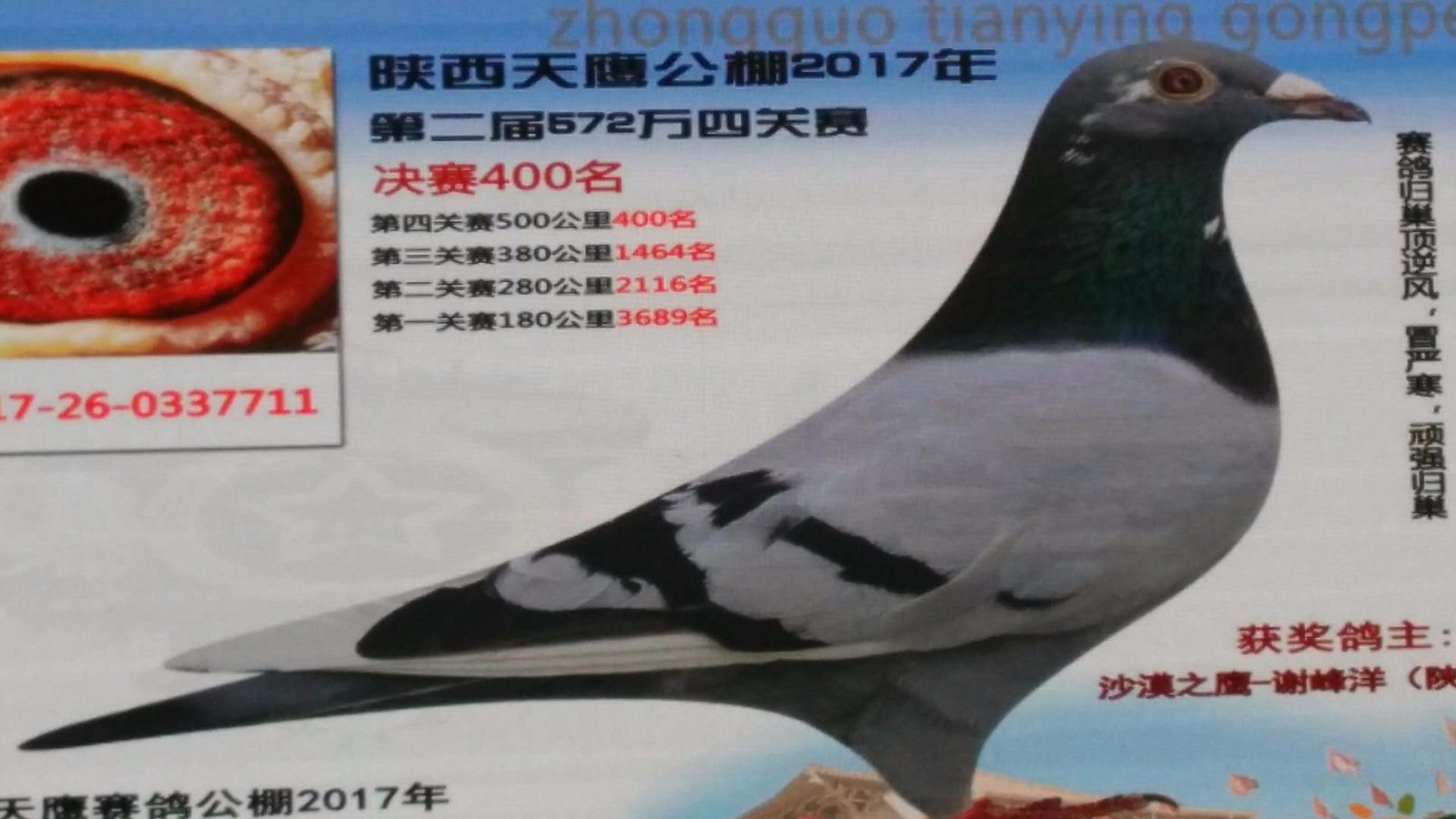 LED光源 第58頁(yè)